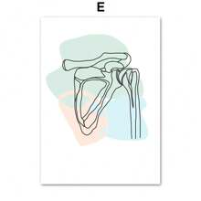 1 pieza Póster de arte de pared de pintura en lienzo de anatomía de huesos humanos esternón, columna vertebral, corazón, cerebro sin marco para decoración de sala de clínica o consultorio médico - Multicolor - Ver 40