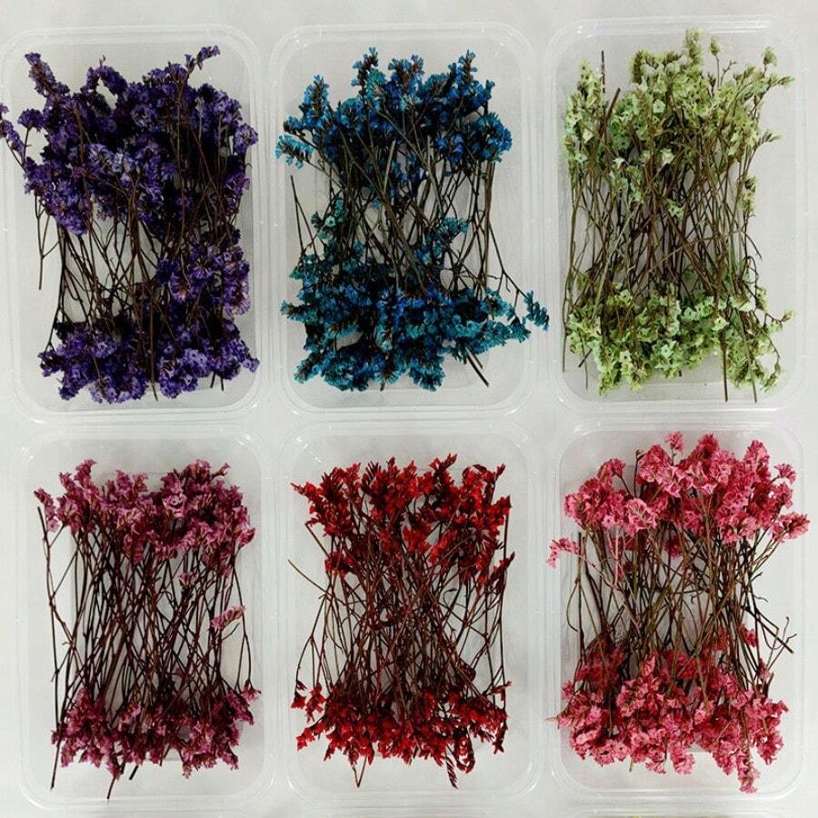 Dried Flower Materials Kit Box, DIY Eternal Flower, Handmade Component