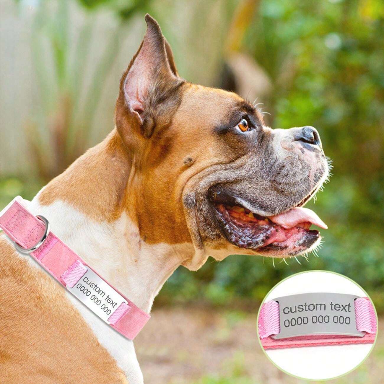 Custom Dog Collar With Metal Buckle Pet Collars Personalized With
