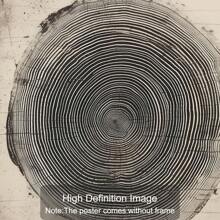 Set Of 3 Unframed Retro Tree Ring Stump Rustic Art Poster Boho Minimalist Farmhouse Cabin Decor Painting Canvas Print Vintage Aesthetic Wall Picture For Dorm,Apartment,Office ,Living Room,Bedroom,Modern Home Decoration - Multicolor - View 5