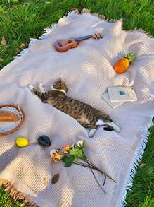 1PC Picnic Blanket - No Charge, Lightweight, Soft, Multifunctional, Suitable For Outdoor And Home Use - Suitable For Easter, Thanksgiving, Christmas, Halloween, Labor Day