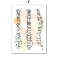 1 pieza Póster de arte de pared de pintura en lienzo de anatomía de huesos humanos esternón, columna vertebral, corazón, cerebro sin marco para decoración de sala de clínica o consultorio médico - Multicolor - Ver 37