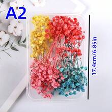 1 Box Handmade DIY Flower Box Eternal Christmas Holiday Decoration, In Stock Hot Sell - Multicolor - View 11