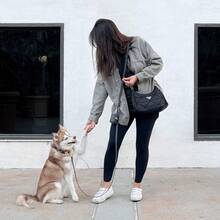4-In-1 Convertible Hands Free Cloud Dog Leash 5/8" - Hoa oải hương Haze - Xem 5
