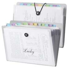 A4 Accordion Folder With Label 24x32cm Large Capacity Storage Bag A4 Information Book Insert Transparent - 無色 - 查看 2