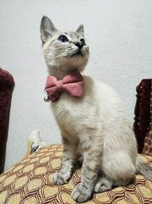 1 cái nơ trang trí cổ áo thú cưng cho chó và mèo ngoài trời - Màu Đỏ Sâu - Xem 5