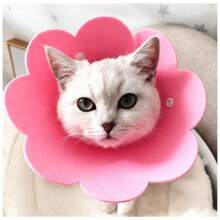 Elizabethan Collar Adjustable Flower Anti-Lick And Anti-Bite Pet Safety Small Medium Size LR-0309 - Đỏ - Xem 8