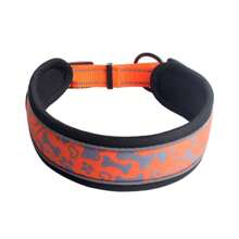 Adjustable Dog Collar With Safety Lock Padded Reflective Breathable Comfortable Soft Durable LR-0313 - trái cam - Xem 2