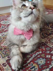 1 cái nơ trang trí cổ áo thú cưng cho chó và mèo ngoài trời - Màu Đỏ Sâu - Xem 9