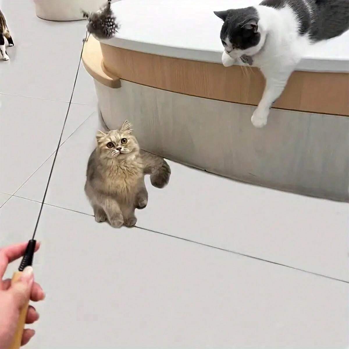 Interactive Feather Cat Toy With Bell Durable Wooden Handle