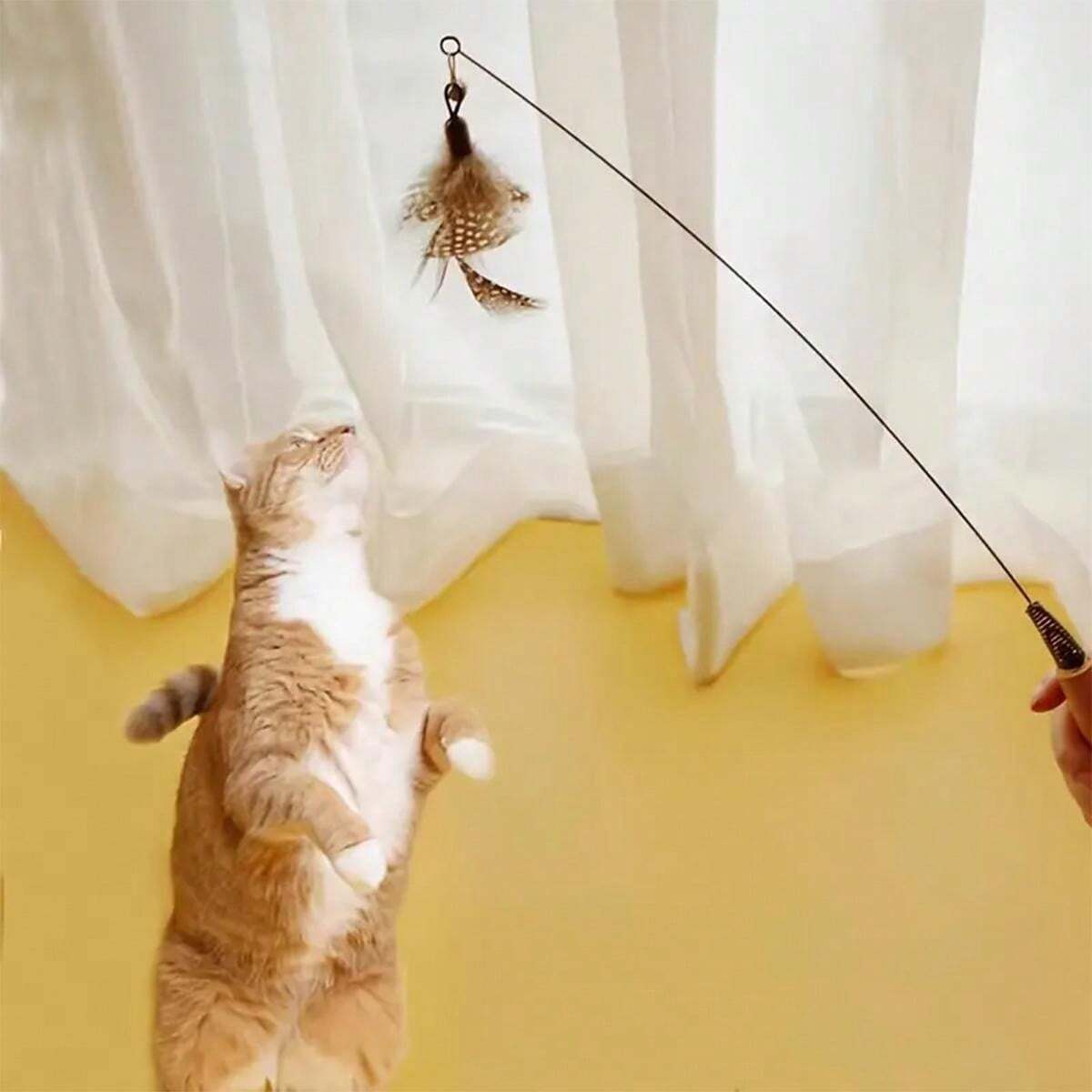 Interactive Feather Cat Toy With Bell Durable Wooden Handle