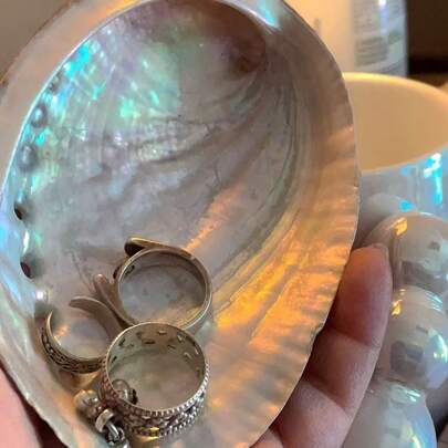 1pc High-Quality Natural Abalone Shell, Creative Decor Option, Deep-Sea Treasure, Unique Luster Best Gifts Birthday