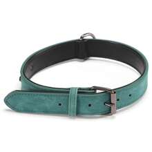 Adjustable Collar With Double Thickness Reinforced Comfortable For Large Medium Small Dogs LR-0315 - 綠色 - 查看 2