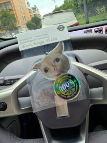 猫咪咳嗽呕吐表情很搞笑。汽车香薰纸、衣柜空气清新剂、香水、后视镜装饰、汽车内饰配件、天然芳香空气净化器、卡通浴室空气清新剂、客厅、办公室、卧室挂饰 - 五星級飯店香味 - 查看 4