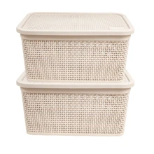 Kit 2 Baskets, 4 Liters Rattan Organizer Box With Lid, Home Organizer Basket - Màu be - Xem 1