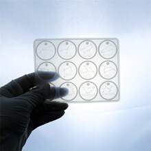 1pc 12 Zodiac Pendant Resin Mold, Round 12 Zodiac Symbol, Epoxy Resin Jewelry Mold, Suitable For Crafts, Handmade Gifts, Handcrafts, DIY Keychain, Jewelry Earring Pendant, Casting Mold - Zodiac Sign Earring Mold - View 7