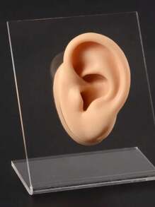 1 件软硅胶耳模型展示道具练习穿刺工具耳环耳钉多色仿真展示工具身体首饰 - 彩色 - 查看 10