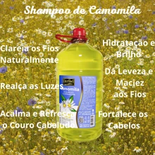 Kit Com 2 Shampoos de Camomila Clareador Profissional Ouribel  2Litros