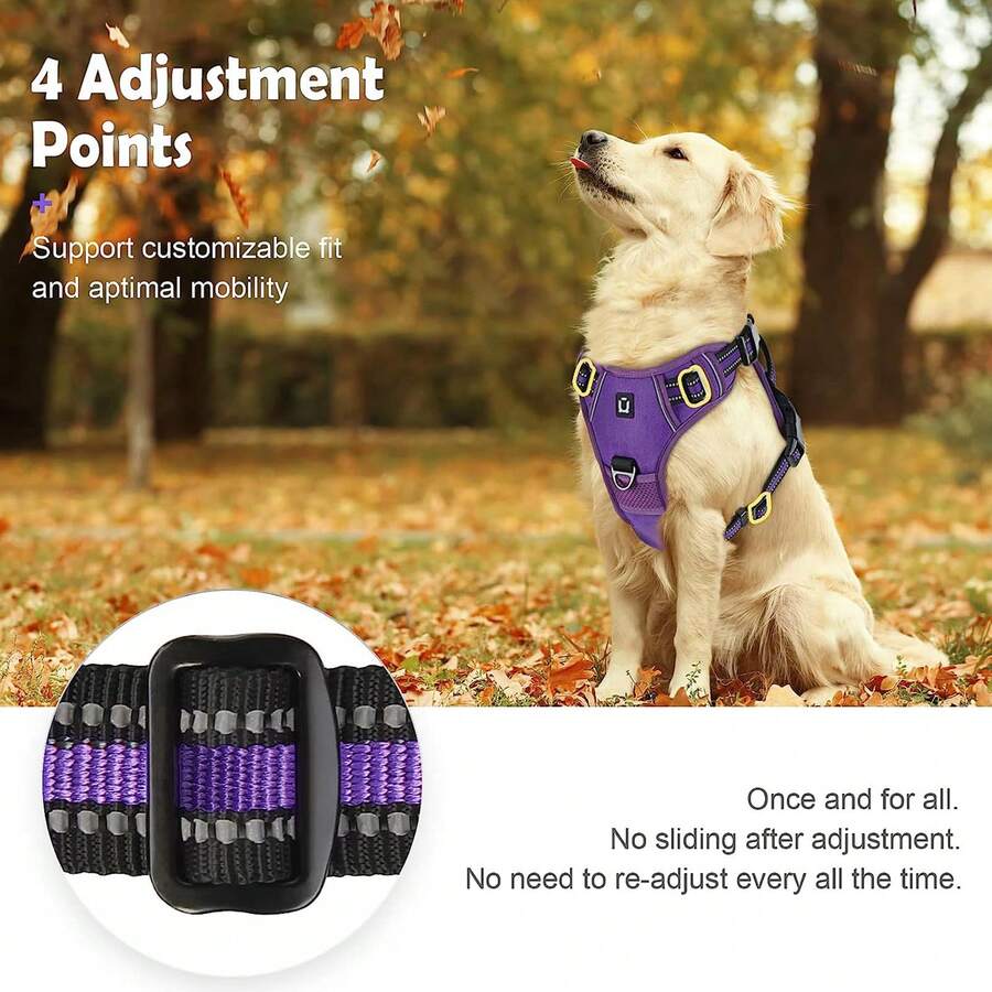 Harnais pour chien, harnais pour animaux de compagnie sans traction