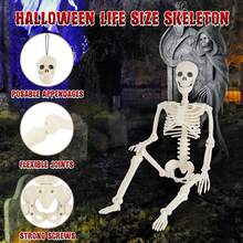 5.4FT Skeleton , Human Life Size Posable Skeleton Decor, Full Size Body Skeleton With Movable Joints For Indoor Outdoor Haunted House Props Decor - 5.4FT - View 4