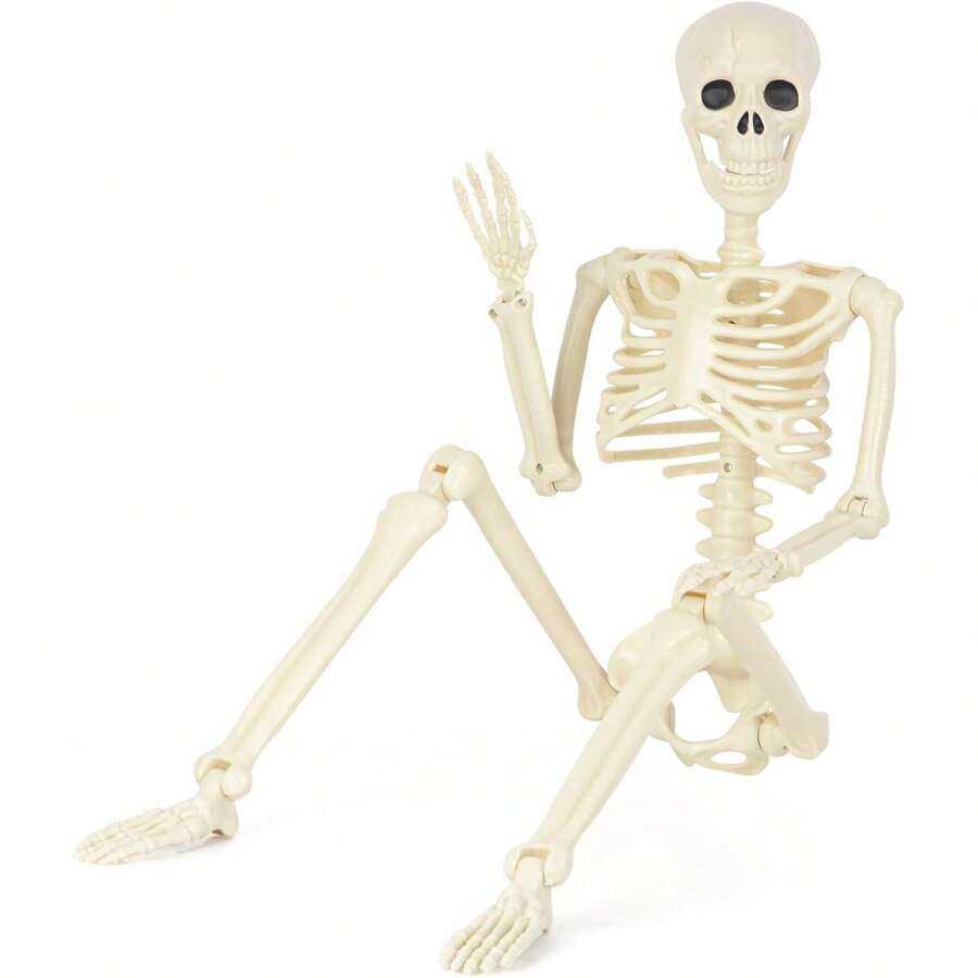 5.4FT Skeleton , Human Life Size Posable Skeleton Decor, Full Size Body Skeleton With Movable Joints For Indoor Outdoor Haunted House Props Decor - 5.4FT - View 1