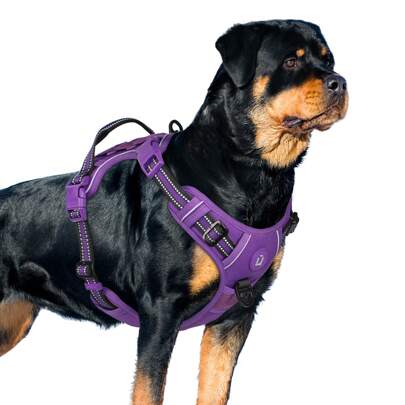 Tactical Dog Harness, Adjustable Military Vest Harness, Non-Pull Harness Double Metal Hook Anti-Pull For German Shepherd, Labrador In Training, Walking