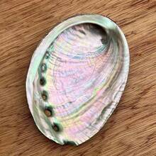 1 件天然鲍鱼壳，多用途装饰贝壳，适用于家居装饰、瑜伽、熏香和节日庆祝 - 彩色 - 查看 4