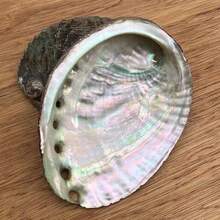 1 件天然鲍鱼壳，多用途装饰贝壳，适用于家居装饰、瑜伽、熏香和节日庆祝 - 彩色 - 查看 5