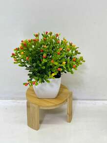 Kit 2 Flowers With Plastic Vase For Decoration - 拉蘭賈蚊子 - 查看 1
