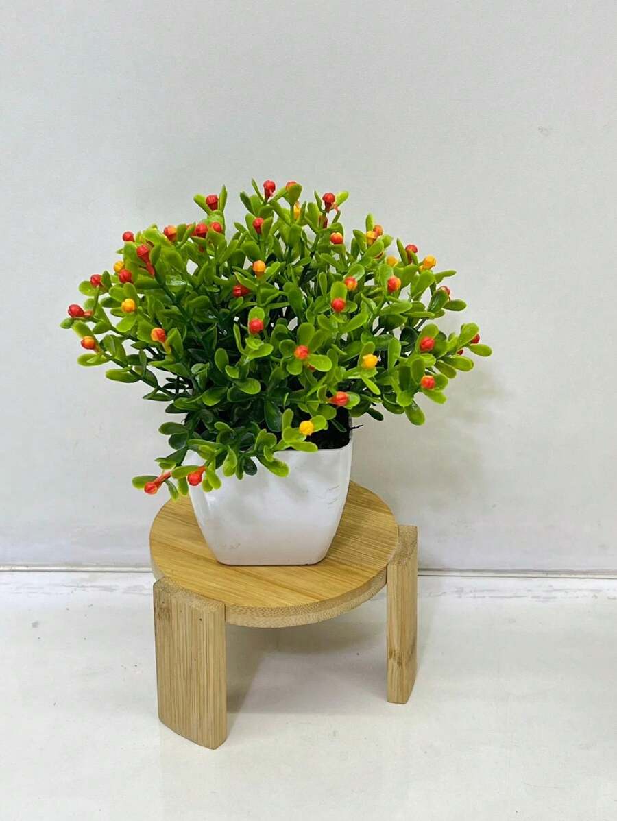 Kit 2 Flowers With Plastic Vase For Decoration - 拉蘭賈蚊子 - 查看 1
