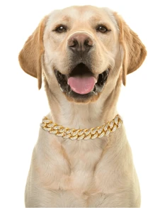 1pc Pet Dog Big Gold Chain Collar Decoration, 45cm/17.71in Cat Necklace With Cubic Zirconia, Chain And Clasp