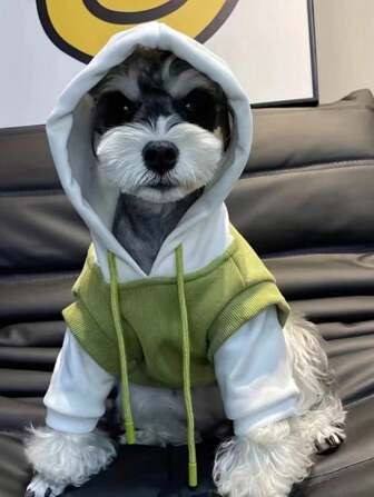 Ropa para mascotas, Mascotas, Gatos, Perros, Ropa para perros, Cachorro, Ropa para perros Chihuahua, Artículos de gatitos, Ropa linda de nueva estilo para perros pequeños, Sudadera con cordón de color verde y blanco para perros