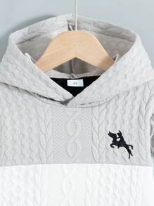 Set de 2 piezas para niño pequeño de manga larga con capucha y bloque de color, y pantalones largos con cordón, ajuste regular, para primavera/otoño - Negro - Ver 3
