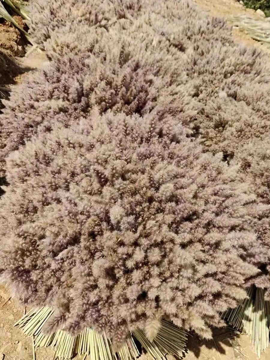 50pcs/Set LifeLike Reed & Rabbit Tail Artificial Flower Set Elegant