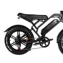 QMWheel V20 20" Fat Tire Electric Dirt Bike 750W Motor 48V 15.6Ah Battery - 黑色 - 查看 3