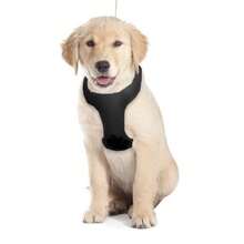 Pet Dog Seat Belt For Inside The Car - 黑色 - 查看 7