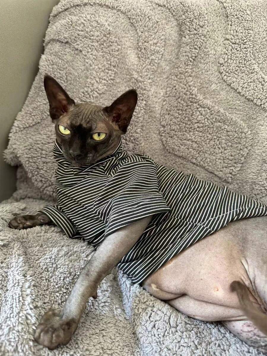 Sphynx Cat Fleece Base Layer Shirt, Soft And Comfortable For Cats And