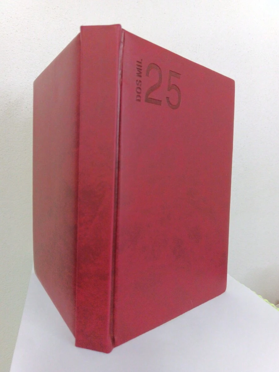 Agenda 2025 Ejecutiva de alta calidad - Rojo violeta - Ver 1