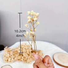 50/100/300pcs Natural Dried Baby's Breath Flowers - Elegant Preserved Baby's Breath, Suitable For Home, Office, Wedding, Christmas, Party, DIY Crafts, Maintenance-Free, For Ages 14+ Gifts Birthday Graduation Home Decor Christmas Decorations Room Decor - Beige - View 6