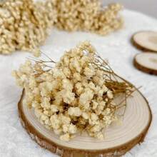 50/100/300pcs Natural Dried Baby's Breath Flowers - Elegant Preserved Baby's Breath, Suitable For Home, Office, Wedding, Christmas, Party, DIY Crafts, Maintenance-Free, For Ages 14+ Gifts Birthday Graduation Home Decor Christmas Decorations Room Decor - Beige - View 7