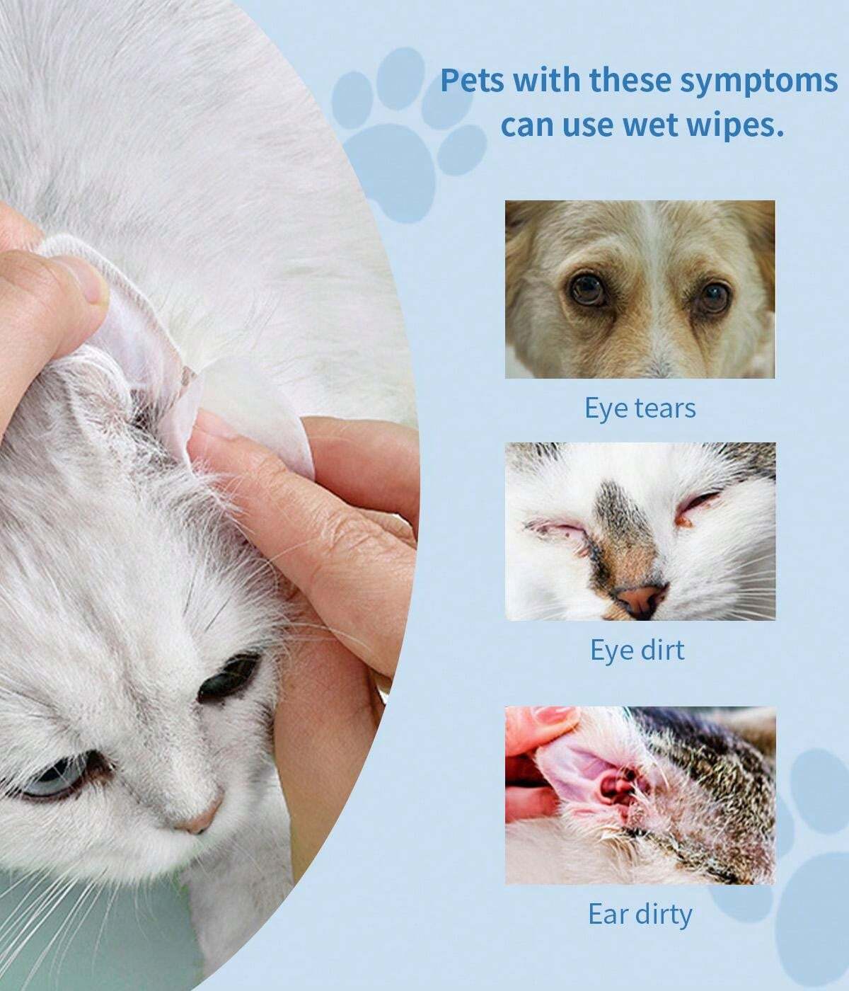 Scatola Ricordo Per Pelo Di Animali Domestici - Pendente In Acrilico Trasparente Per Conservare La Memoria Del Tuo Gatto O Cane