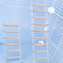 1 chiếc thang Acrylic hình con vẹt, họa tiết hoa mẫu đơn hình con hổ, bậc thang leo trèo, thang gặm cho lồng chim, đồ dùng cho thú cưng - Màu be - Xem 3