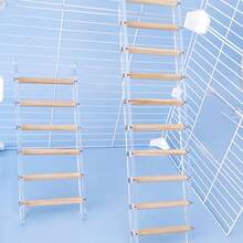 1 chiếc thang Acrylic hình con vẹt, họa tiết hoa mẫu đơn hình con hổ, bậc thang leo trèo, thang gặm cho lồng chim, đồ dùng cho thú cưng - Màu be - Xem 2
