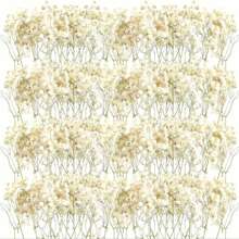 50/100/300pcs Natural Dried Baby's Breath Flowers - Elegant Preserved Baby's Breath, Suitable For Home, Office, Wedding, Christmas, Party, DIY Crafts, Maintenance-Free, For Ages 14+ Gifts Birthday Graduation Home Decor Christmas Decorations Room Decor - Beige - View 4