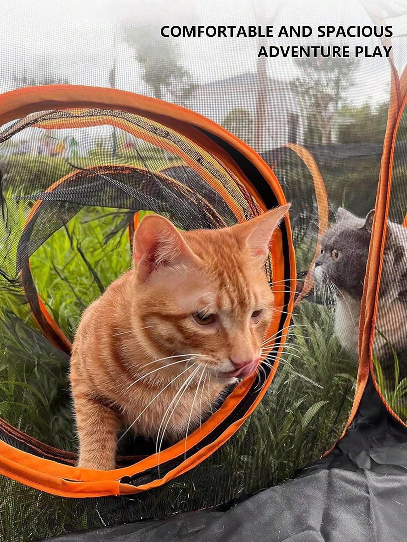 Enclosed Foldable Cat Tunnel, Portable Pet Tent For Cats And Dogs