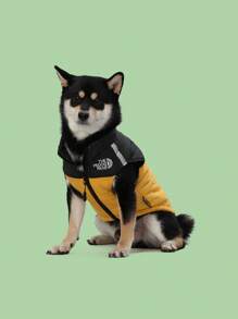 狗狗夹克，防水狗狗外套，狗狗冬季夹克，保暖防风狗狗雪地夹克，带反光条高领，适合小型、中型和大型犬，多种尺寸，柔软保暖 - 黃色 - 查看 3