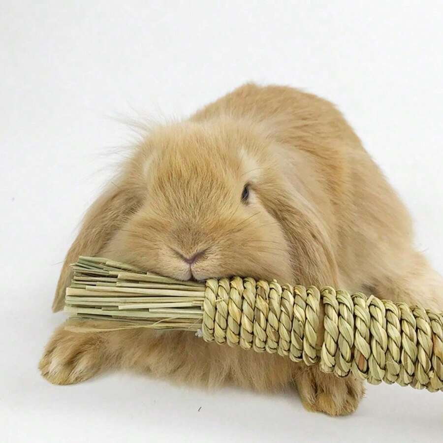 Handmade Rabbit/Guinea Pig Chew Toy, Carrot Shaped Teething & Grinding Toy - Multicolor - View 1