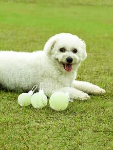 1 chiếc đồ chơi bóng phát sáng đàn hồi cho chó, bóng rắn chống cắn cho chó nhỏ vừa lớn, đồ chơi mài răng cho thú cưng - trắng - Xem 2