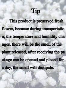 50/70/100/300 件或 50/150 克迷你满天星花和其他干花 - 用于树脂模具艺术工艺品、象牙白花束，可用作发饰、婚礼花环、桌上花瓶、家居装饰