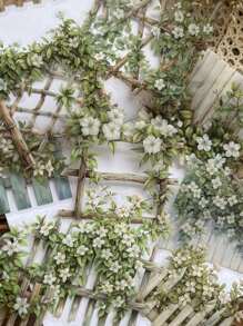 15pcs/Pack Vintage Large Size Sticker Pack, Manor Fence Series, Vines & Wild Flowers, Suitable For Diary, Scrapbooking, Decoration, Landscaping